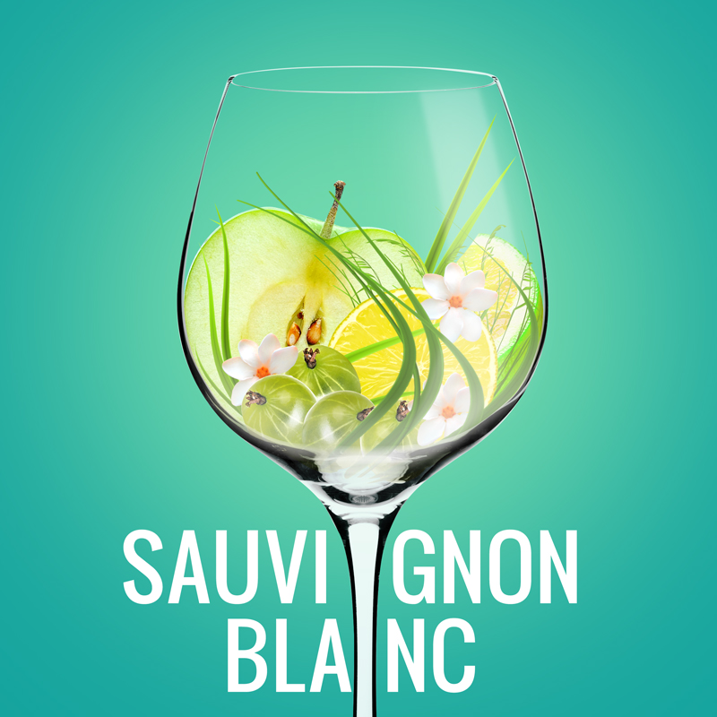 wino sauvignon blanc aromaty
