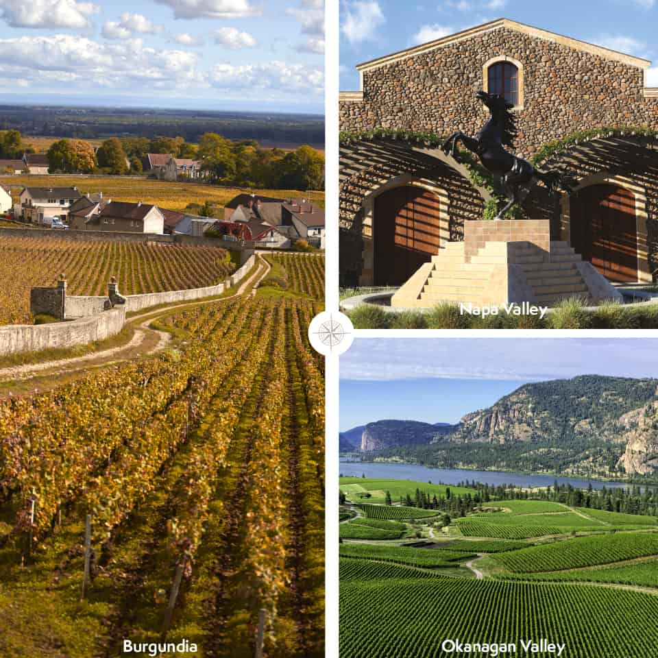 Winnice w Burgundi, Napa Valley i Okanagan Valley