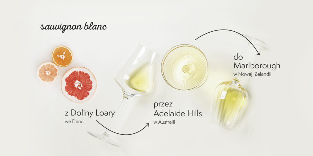 Aromaty wina sauvignon blanc